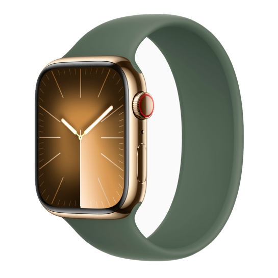Apple Watch 9 + LTE 45mm Gold Stainless Steel Case with Cypress Solo Loop - цена, характеристики, отзывы, рассрочка, фото 1