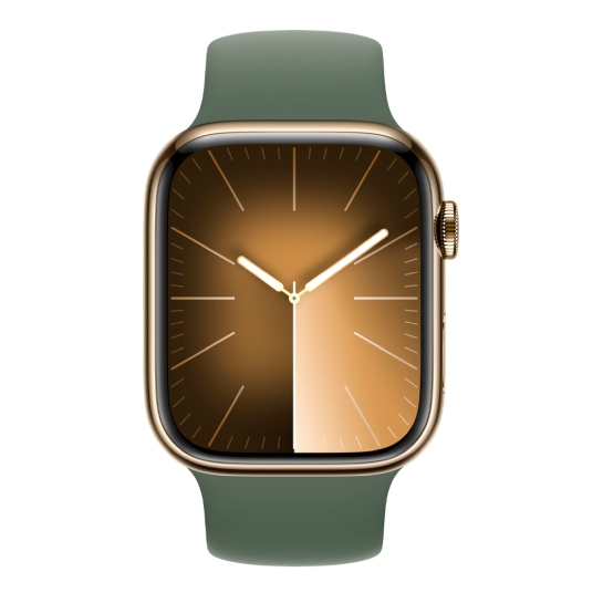 Apple Watch 9 + LTE 45mm Gold Stainless Steel Case with Cypress Solo Loop - ціна, характеристики, відгуки, розстрочка, фото 2
