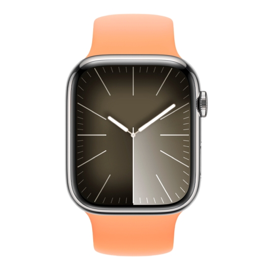 Apple Watch 9 + LTE 45mm Silver Stainless Steel Case with Orange Sorbet Solo Loop - ціна, характеристики, відгуки, розстрочка, фото 2