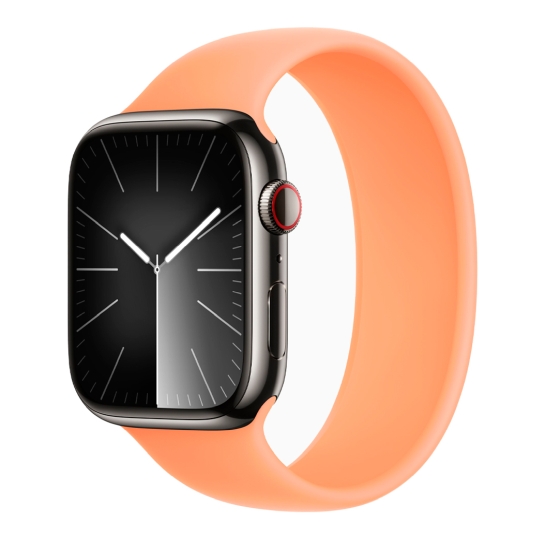 Apple Watch 9 + LTE 45mm Graphite Stainless Steel Case with Orange Sorbet Solo Loop - ціна, характеристики, відгуки, розстрочка, фото 1