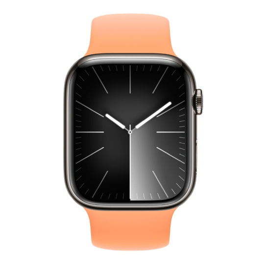 Apple Watch 9 + LTE 45mm Graphite Stainless Steel Case with Orange Sorbet Solo Loop - цена, характеристики, отзывы, рассрочка, фото 2