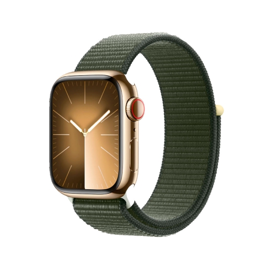 Apple Watch 9 + LTE 41mm Gold Stainless Steel with Cypress Sport Loop - цена, характеристики, отзывы, рассрочка, фото 1