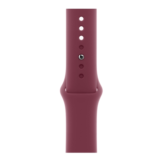 Apple Watch 9 + LTE 45mm Graphite Stainless Steel Case with Mulberry Sport Band - ціна, характеристики, відгуки, розстрочка, фото 2