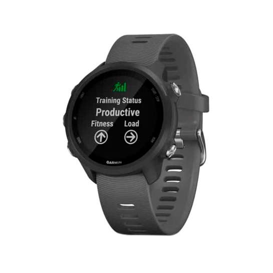 Спортивные часы Garmin Forerunner 245 Slate Gray