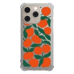Чехол Pump UA Transparency Case for iPhone 15 Pro Oranges
