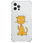 Чехол Pump UA Transparency Case for iPhone 12 Pro Max Cat f#ck 3