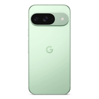 Смартфон Google Pixel 9 12/256GB Wintergreen Global - цена, характеристики, отзывы, рассрочка, фото 1