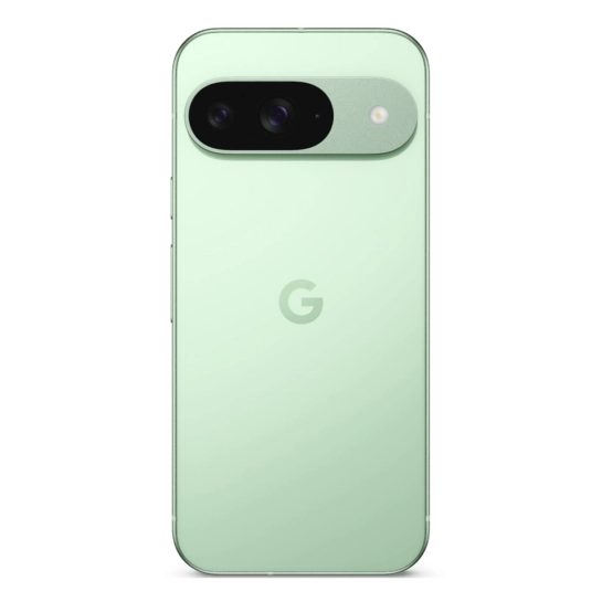 Смартфон Google Pixel 9 12/256GB Wintergreen Global