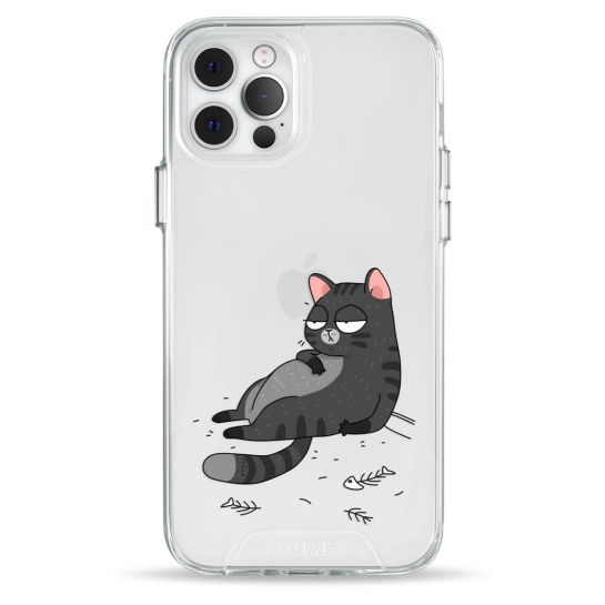 Чехол Pump Transparency Silver Button Case for iPhone 12/12 Pro The Cat Is Full