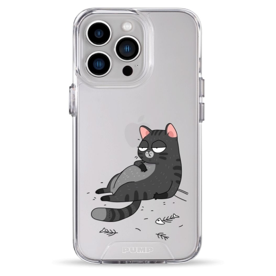 Чехол Pump Transparency Silver Button Case for iPhone 13 Pro The Cat Is Full - цена, характеристики, отзывы, рассрочка, фото 1