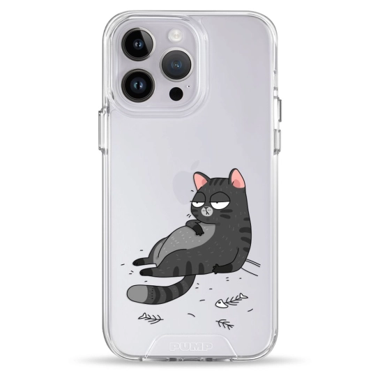 Чехол Pump Transparency Silver Button Case for iPhone 14 Pro The Cat Is Full