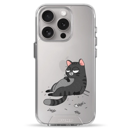 Чохол Pump Transparency Silver Button Case для iPhone 15 Pro The Cat Is Full