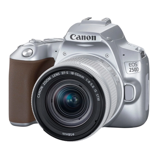 Фотоаппарат со сменным объективом Canon EOS 250D Kit (18-55mm) EF-S IS STM Silver (3461C003)
