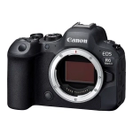 Фотоапарат Canon EOS R6 Mark II Body (5666C031)