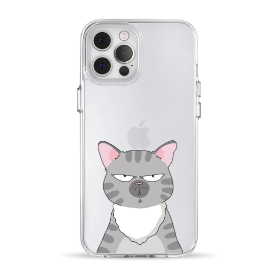 Чехол Pump Clear Case for iPhone 12 Pro Max Cat think 2