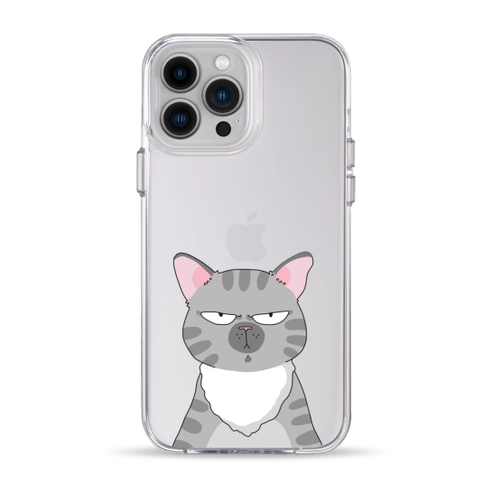 Чехол Pump Clear Case for iPhone 13 Pro Max Cat think 2