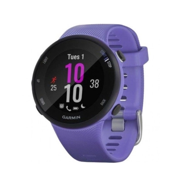 Смарт-часы Garmin Forerunner 45s Iris (010-02156-11/010-02156-01) - цена, характеристики, отзывы, рассрочка, фото 1