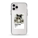 Чохол Pump Clear Case for iPhone 11 Pro PANTONE Soft