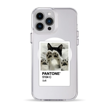 Чохол Pump Clear Case with MagSafe for iPhone 13 Pro Max PANTONE Soft - цена, характеристики, отзывы, рассрочка, фото 1