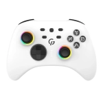 Бездротовий геймпад GamePro GPX13W