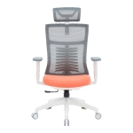 Офисное кресло OfficePro Balance OC550-W-DG-OR