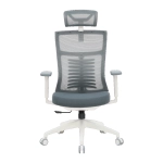 Офісне крісло OfficePro Balance OC550-W-DG-DG