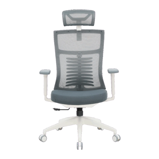 Офісне крісло OfficePro Balance OC550-W-DG-DG