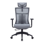 Офисное кресло OfficePro Balance OC620-B-DG-DG