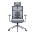 Офисное кресло OfficePro Balance OC620-G-DG-DG