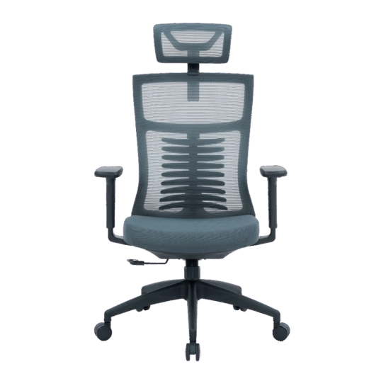 Офісне крісло OfficePro Balance OC550-B-DG-DG