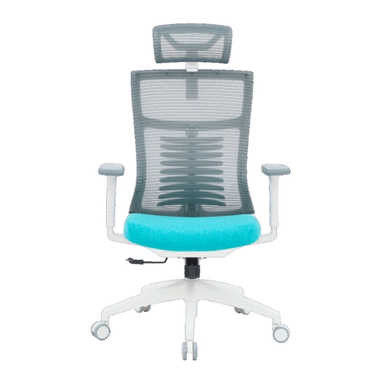 Офісне крісло OfficePro Balance OC550-W-DG-BL