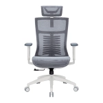 Офисное кресло OfficePro Balance OC620-W-DG-DG