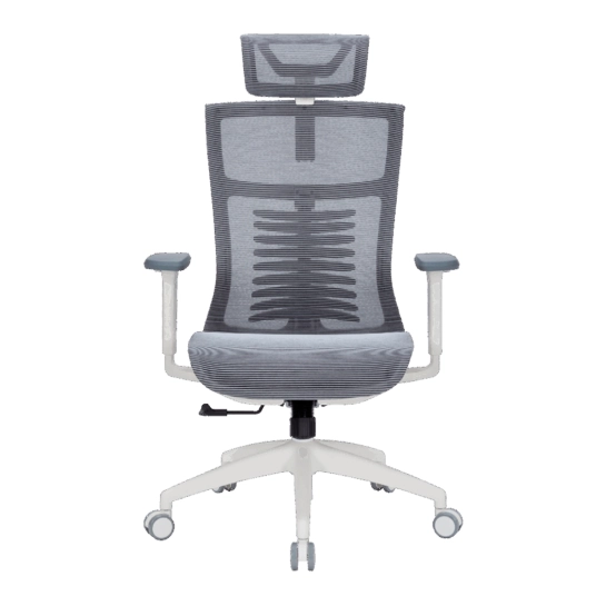 Офисное кресло OfficePro Balance OC620-W-DG-DG