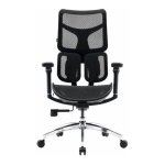 Офисное кресло Sihoo DORO S100 Mesh Black