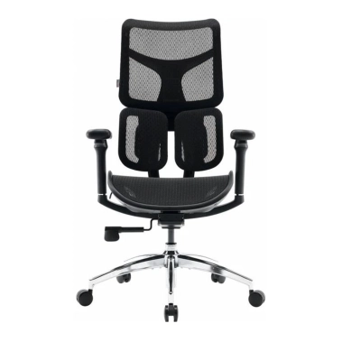 Крісло офісне Sihoo DORO S100 Mesh Black - цена, характеристики, отзывы, рассрочка, фото 1