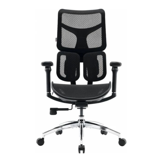 Офисное кресло Sihoo DORO S100 Mesh Black - цена, характеристики, отзывы, рассрочка, фото 1