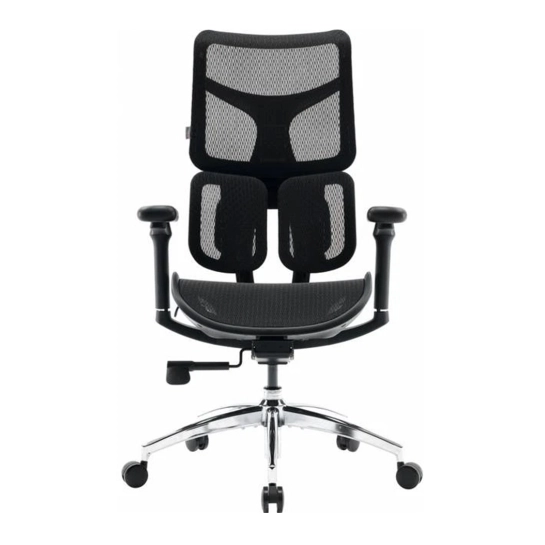 Крісло офісне Sihoo DORO S100 Mesh Black