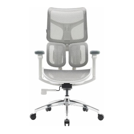 Офисное кресло Sihoo DORO S100 Mesh White - цена, характеристики, отзывы, рассрочка, фото 1