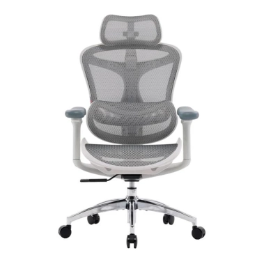 Крісло офісне Sihoo DORO C300L Mesh White - цена, характеристики, отзывы, рассрочка, фото 1