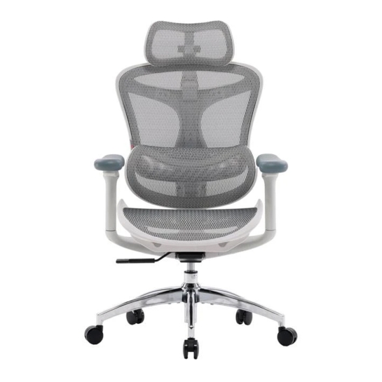 Крісло офісне Sihoo DORO C300L Mesh White - ціна, характеристики, відгуки, розстрочка, фото 1