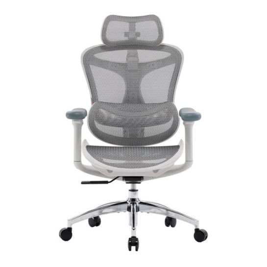 Крісло офісне Sihoo DORO C300L Mesh White