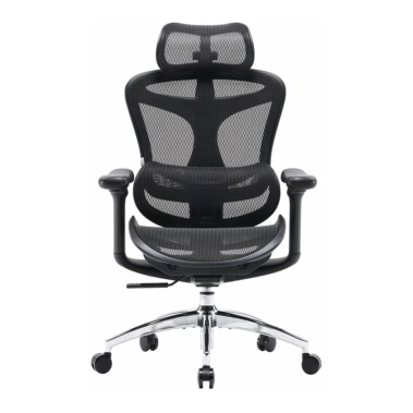 Крісло офісне Sihoo DORO C300L Mesh Black - цена, характеристики, отзывы, рассрочка, фото 1