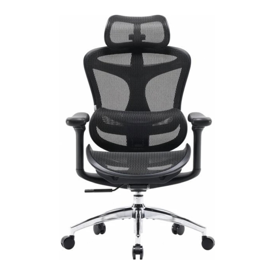 Офисное кресло Sihoo DORO C300L Mesh Black - цена, характеристики, отзывы, рассрочка, фото 1