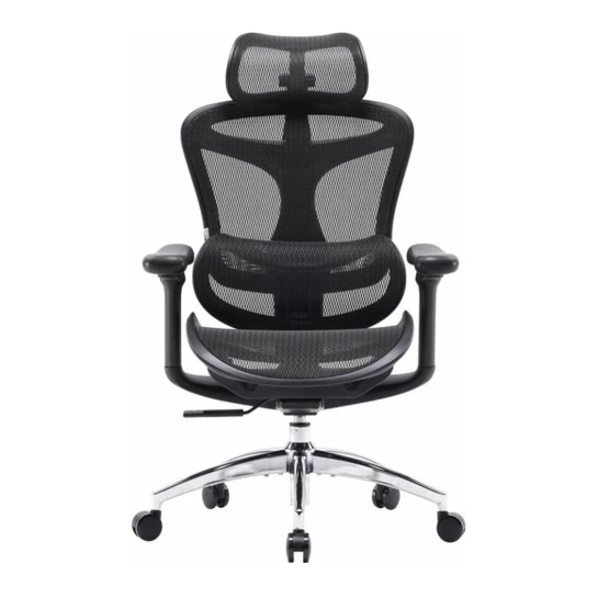 Крісло офісне Sihoo DORO C300L Mesh Black