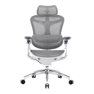Офісне крісло Sihoo DORO C300 Pro Mesh White - цена, характеристики, отзывы, рассрочка, фото 1