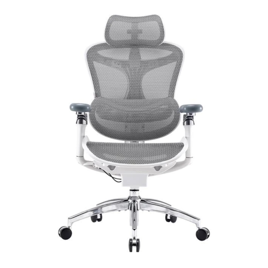 Офисное кресло Sihoo DORO C300 Pro Mesh White - цена, характеристики, отзывы, рассрочка, фото 1