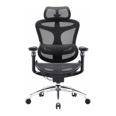 Офісне крісло Sihoo DORO C300 Pro Mesh Black - цена, характеристики, отзывы, рассрочка, фото 1