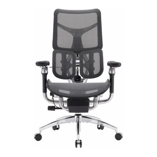 Офісне крісло Sihoo DORO S300 Mesh Dark Grey