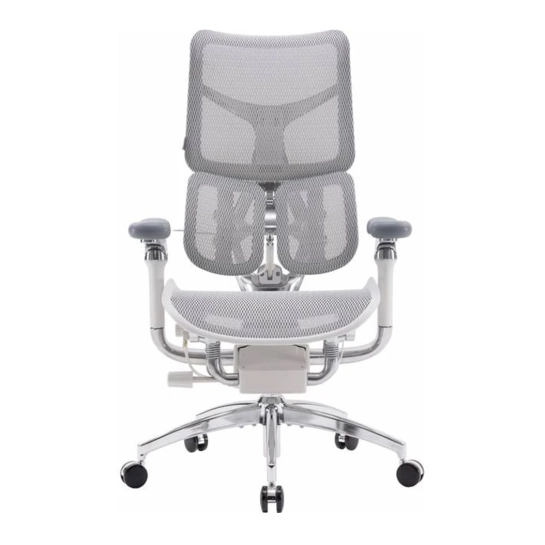 Крісло офісне Sihoo DORO S300 Mesh Light Grey