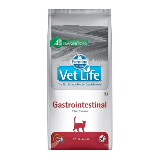 Сухой корм для кошек Farmina Vet Life Gastrointestinal диетическое питание при заболеваниях ЖКТ 400 г (160385)
